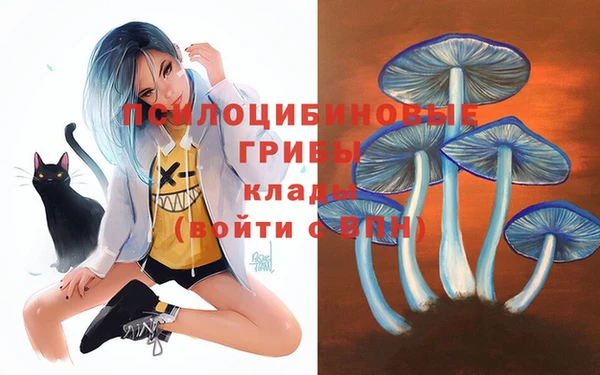амфетамин Алексеевка