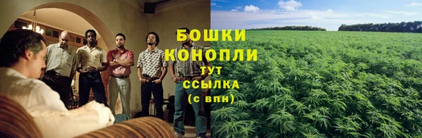 каннабис Алексин